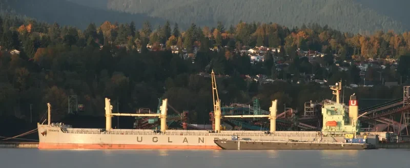 SENORITA Bulk Carrier IMO 9384540