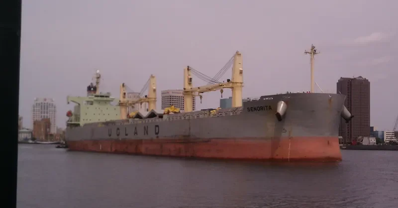 SENORITA Bulk Carrier IMO 9384540 photo 7