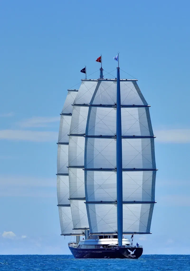 MALTESE FALCON General Cargo IMO 9384552