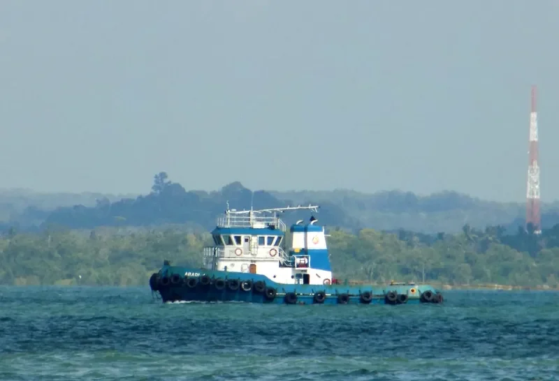 ABADI 8 General Cargo IMO 9384576 photo 2
