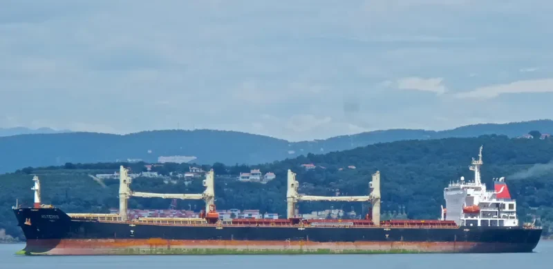 ASTERIS Bulk Carrier IMO 9384796 photo 4