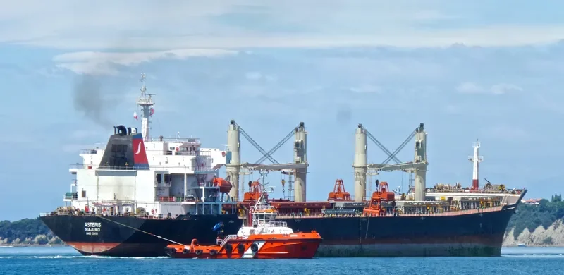 ASTERIS Bulk Carrier IMO 9384796 photo 6
