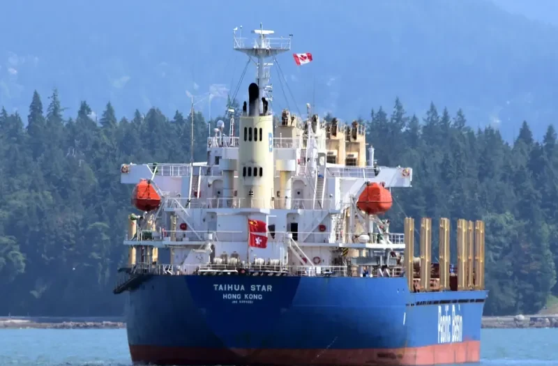 TAIHUA STAR Bulk Carrier IMO 9384851 photo 3