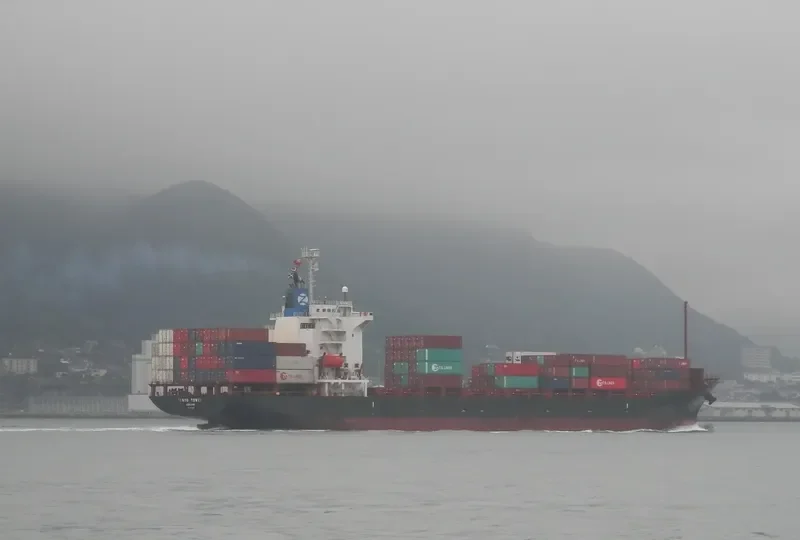 TOKYO TOWER Container Ship IMO 9384875 photo 10
