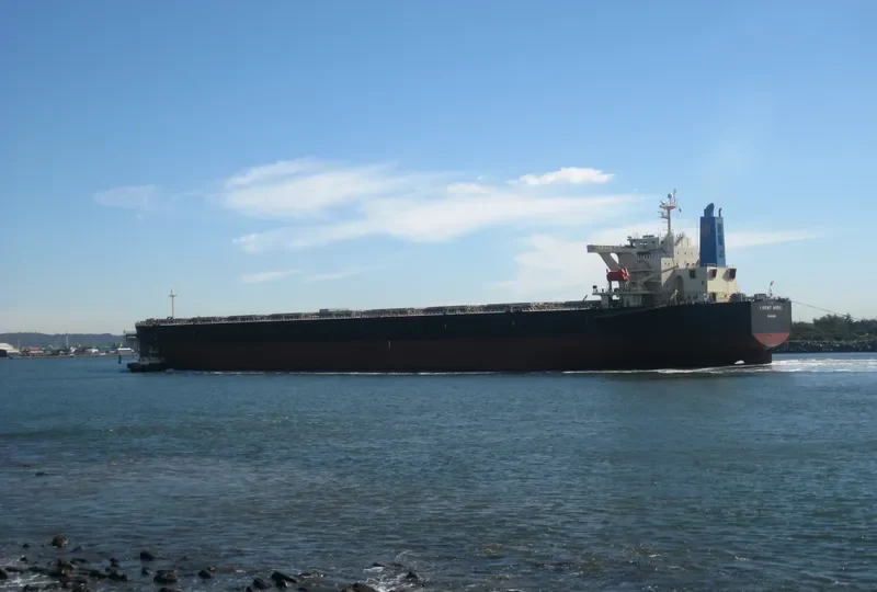 ORIENT ANGEL Bulk Carrier IMO 9384916