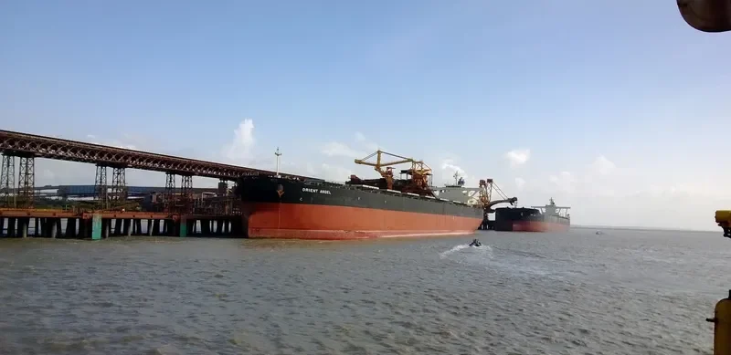 ORIENT ANGEL Bulk Carrier IMO 9384916 photo 6
