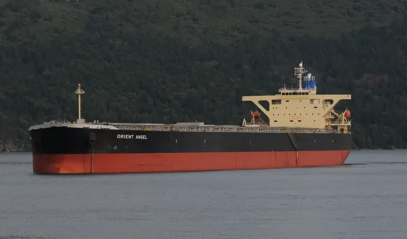 ORIENT ANGEL Bulk Carrier IMO 9384916 photo 10