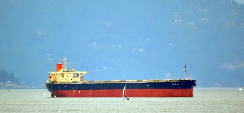 SAKAIDE MARU Bulk Carrier IMO 9384928 photo 6