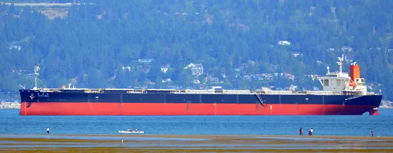 SAKAIDE MARU Bulk Carrier IMO 9384928 photo 7
