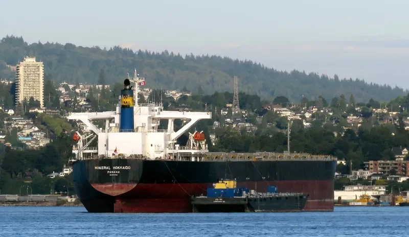 IMPERIAL FORTUNE Bulk Carrier IMO 9384954 photo 4