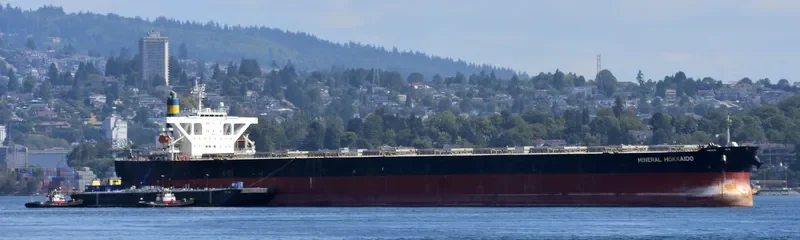 IMPERIAL FORTUNE Bulk Carrier IMO 9384954 photo 6