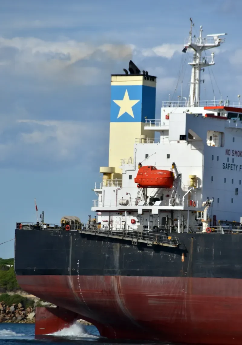 RESTINGA Bulk Carrier IMO 9384980