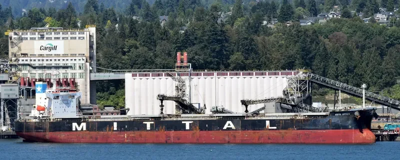 RESTINGA Bulk Carrier IMO 9384980 photo 3