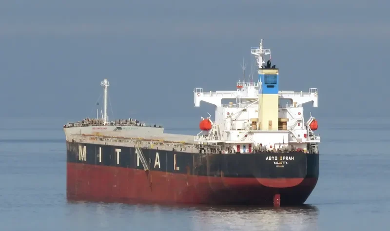 RESTINGA Bulk Carrier IMO 9384980 photo 6