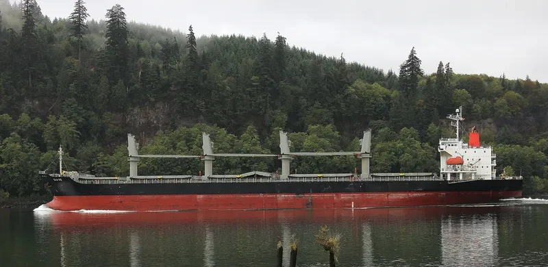 IRMA S General Cargo IMO 9385063 photo 6
