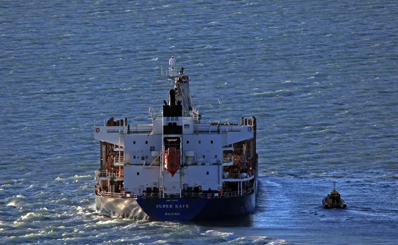 SUPER KATE Bulk Carrier IMO 9385154 photo 8