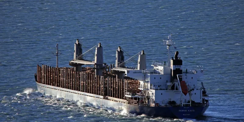 SUPER KATE Bulk Carrier IMO 9385154 photo 9