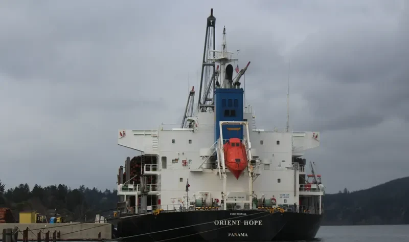 ORIENT HOPE Bulk Carrier IMO 9385166