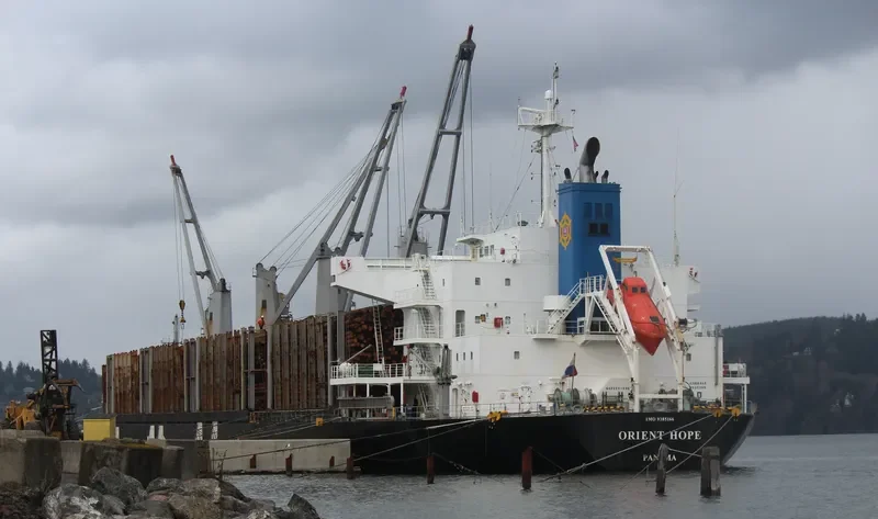 ORIENT HOPE Bulk Carrier IMO 9385166 photo 2