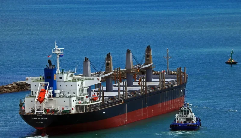 ORIENT HOPE Bulk Carrier IMO 9385166 photo 4