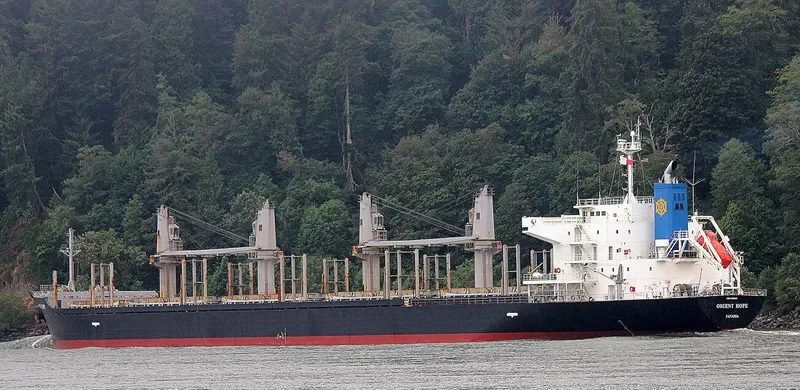 ORIENT HOPE Bulk Carrier IMO 9385166 photo 10