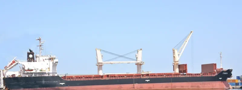 FINIKIA Bulk Carrier IMO 9385233 photo 7
