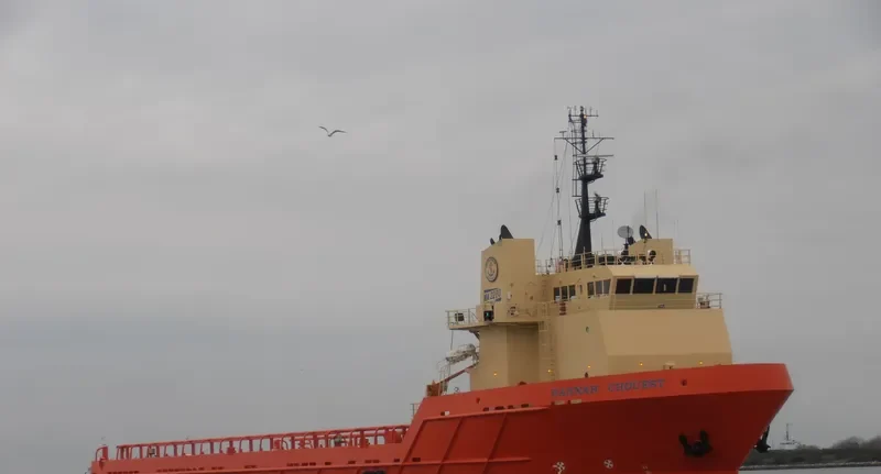 HANNAH CHOUEST Offshore Vessel IMO 9385257 photo 3