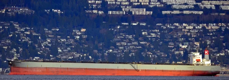 CAPE PROGRESS Bulk Carrier IMO 9385415 photo 3