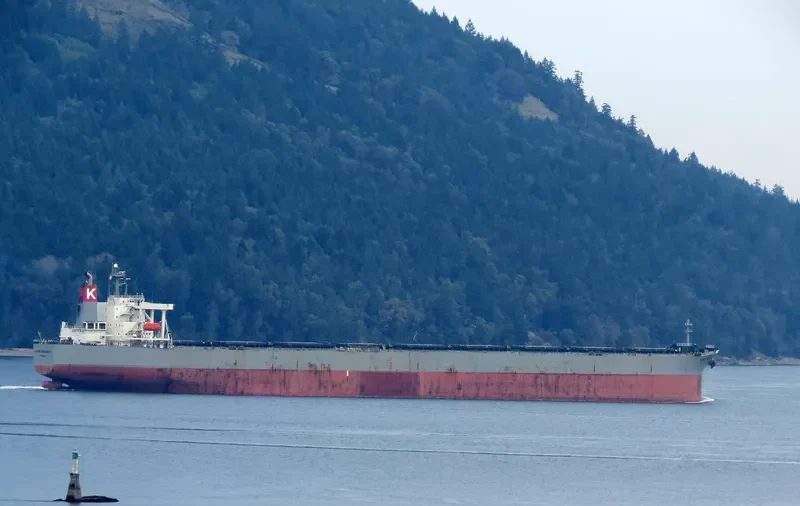 CAPE PROGRESS Bulk Carrier IMO 9385415 photo 7