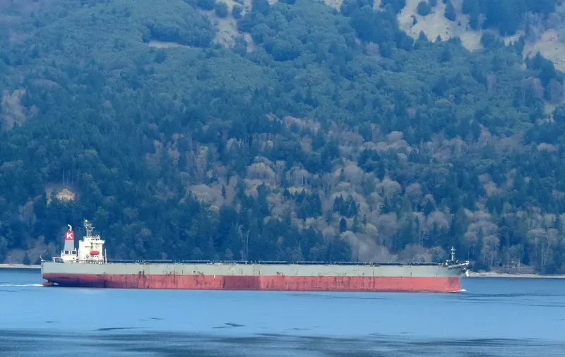 CAPE PROGRESS Bulk Carrier IMO 9385415 photo 8