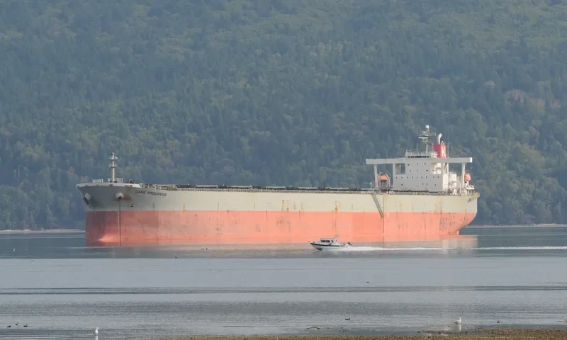 CAPE PROGRESS Bulk Carrier IMO 9385415 photo 9
