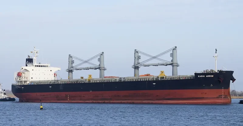 DESTINY Bulk Carrier IMO 9385491