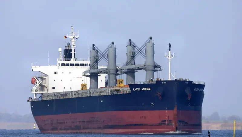 DESTINY Bulk Carrier IMO 9385491 photo 2