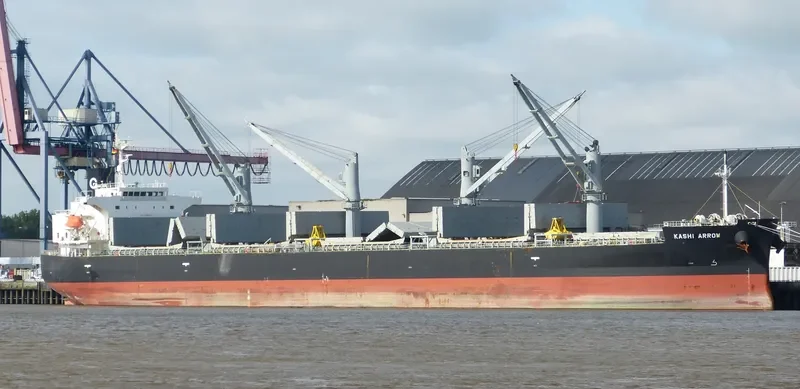 DESTINY Bulk Carrier IMO 9385491 photo 4