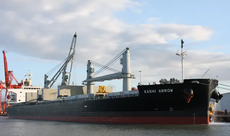 DESTINY Bulk Carrier IMO 9385491 photo 10