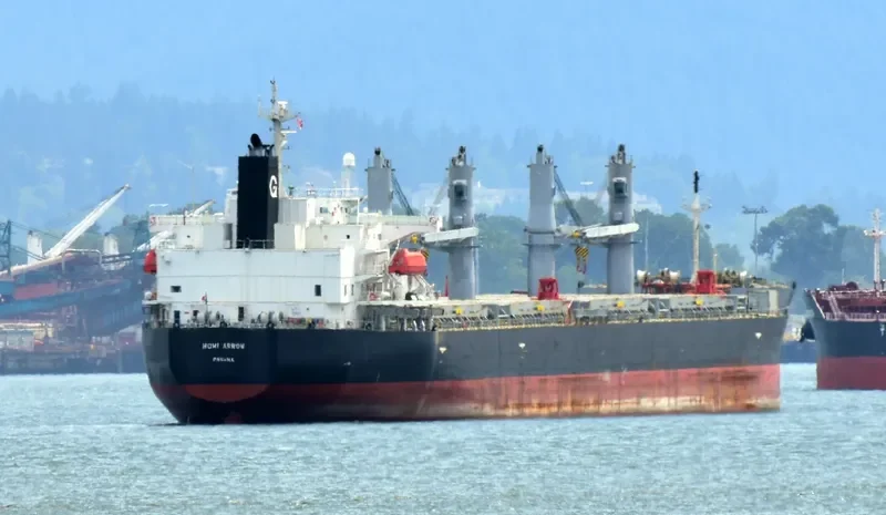 MOMI ARROW General Cargo IMO 9385506 photo 7