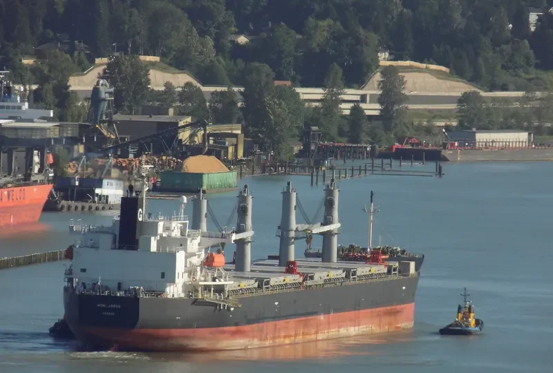 MOMI ARROW General Cargo IMO 9385506 photo 10