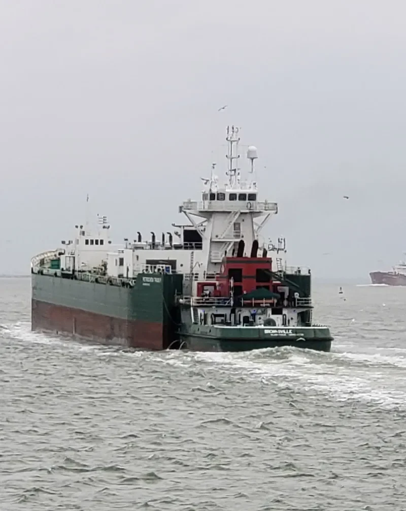 BROWNSVILLE General Cargo IMO 9385738 photo 9