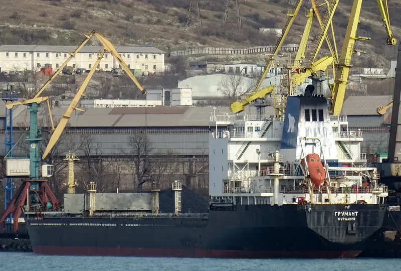 GRUMANT Bulk Carrier IMO 9385879