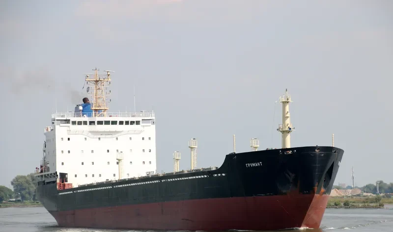 GRUMANT Bulk Carrier IMO 9385879 photo 8