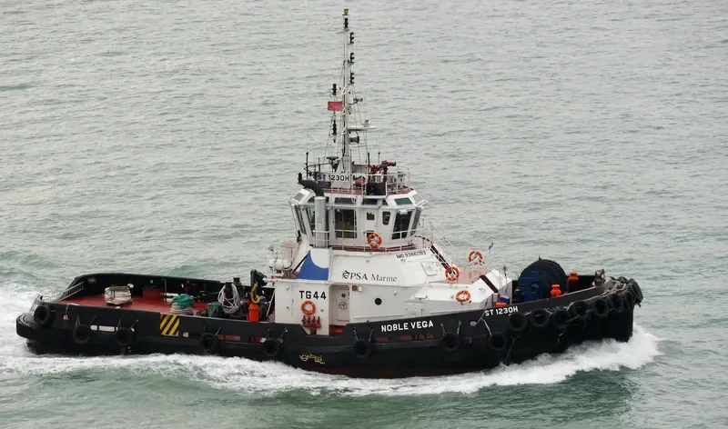 NOBLE VEGA General Cargo IMO 9386093 photo 3