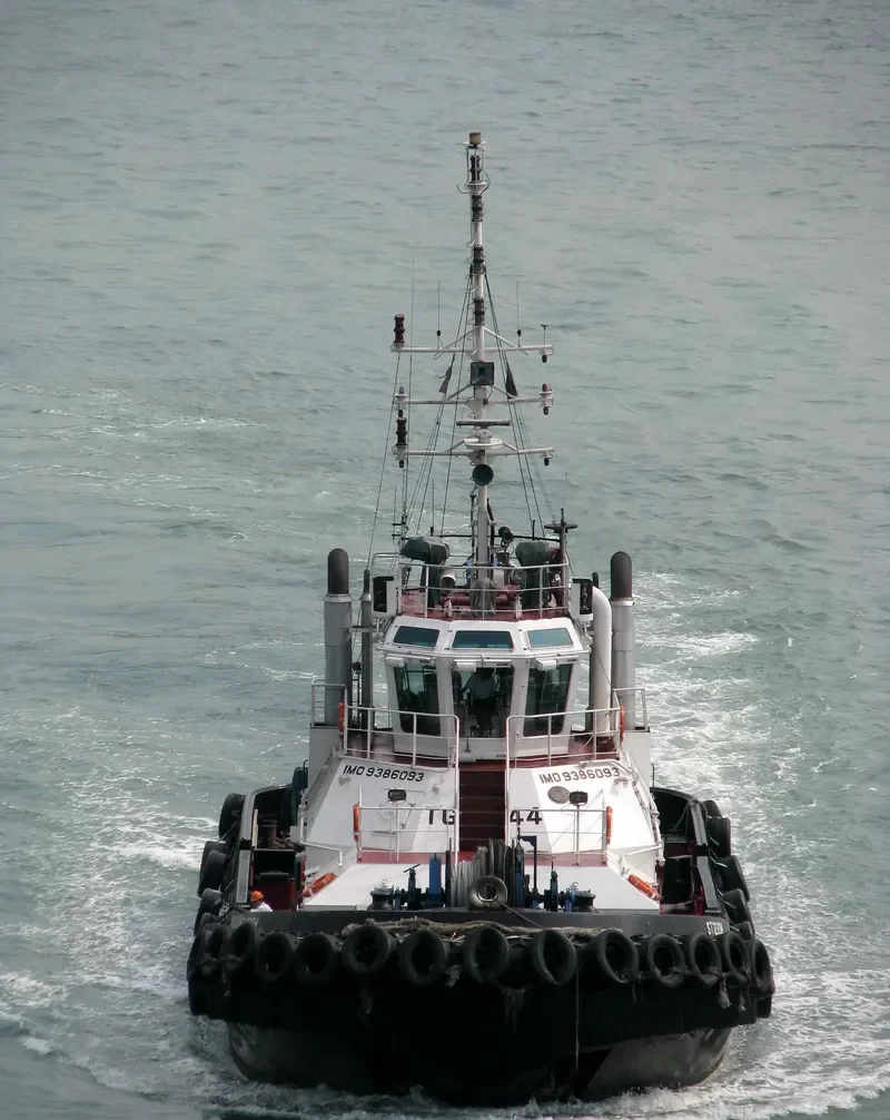NOBLE VEGA General Cargo IMO 9386093 photo 7