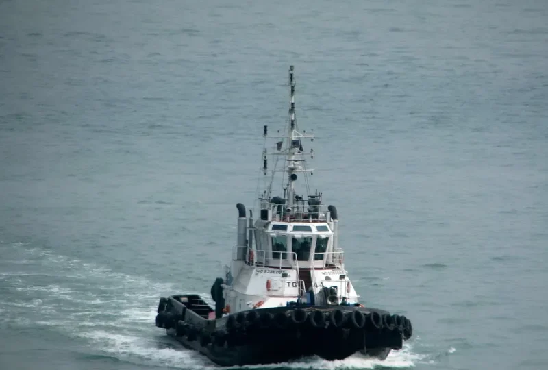 NOBLE VEGA General Cargo IMO 9386093 photo 8