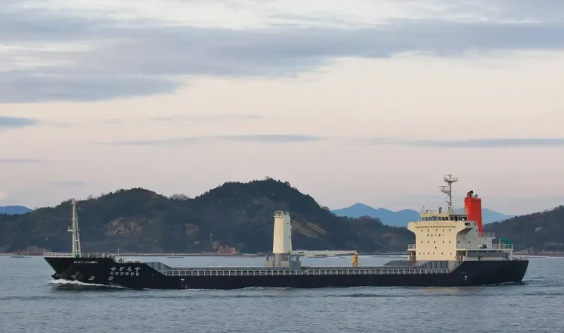 CEDROS General Cargo IMO 9386263 photo 7