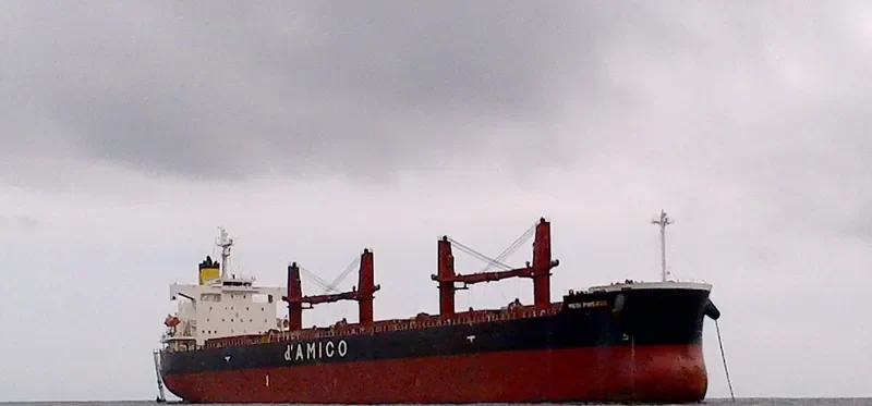 SEA BRAVERY Bulk Carrier IMO 9386407
