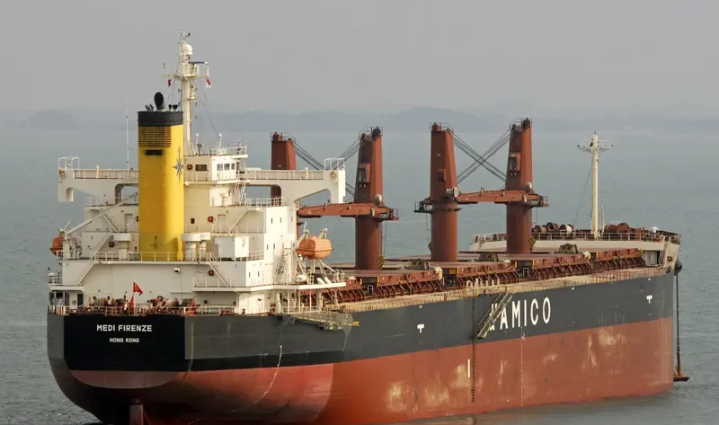 SEA BRAVERY Bulk Carrier IMO 9386407 photo 6