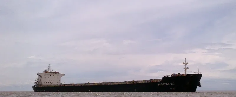 JOHNNY CASH Bulk Carrier IMO 9386421
