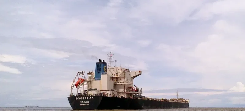 JOHNNY CASH Bulk Carrier IMO 9386421 photo 2