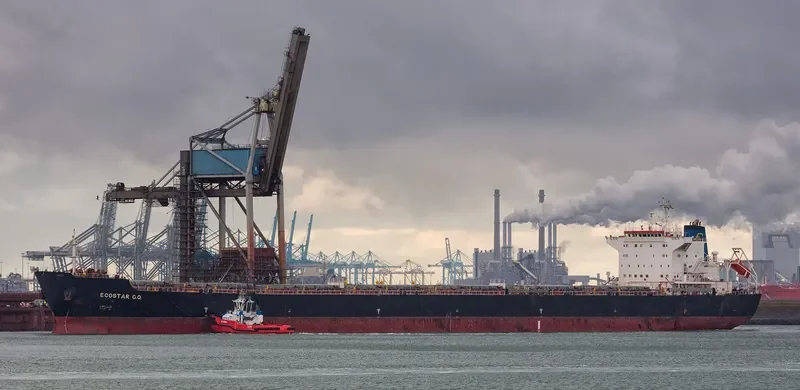 JOHNNY CASH Bulk Carrier IMO 9386421 photo 5