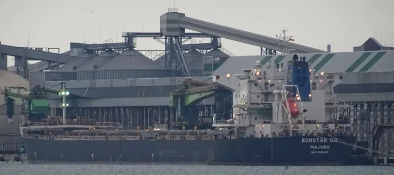 JOHNNY CASH Bulk Carrier IMO 9386421 photo 6
